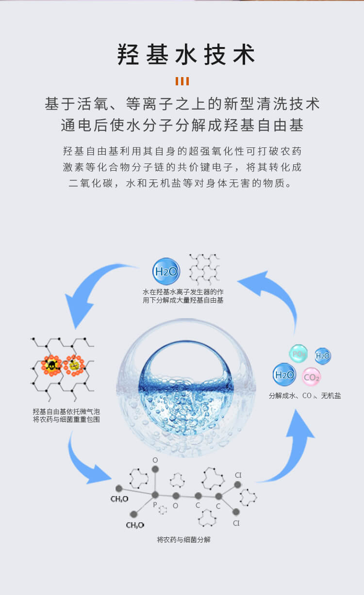 果蔬凈化清洗機_8